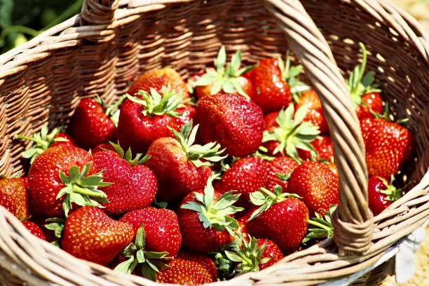 istock Wooden basket with strawberry 682954834