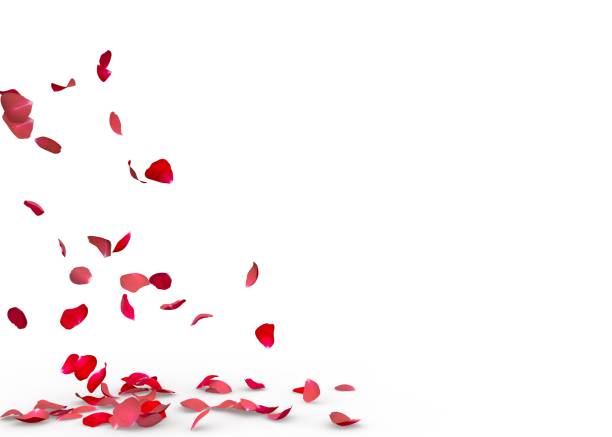 istock Rose petals fall to the floor 682957400