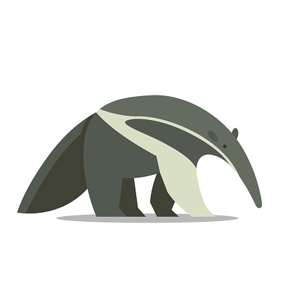 Vector Illustration of an Anteater