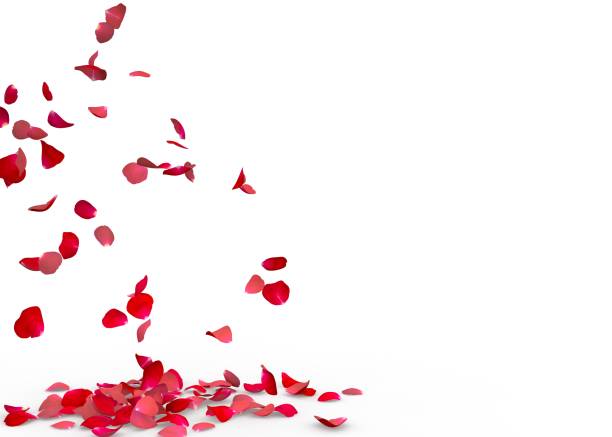 istock Rose petals fall to the floor 682958690