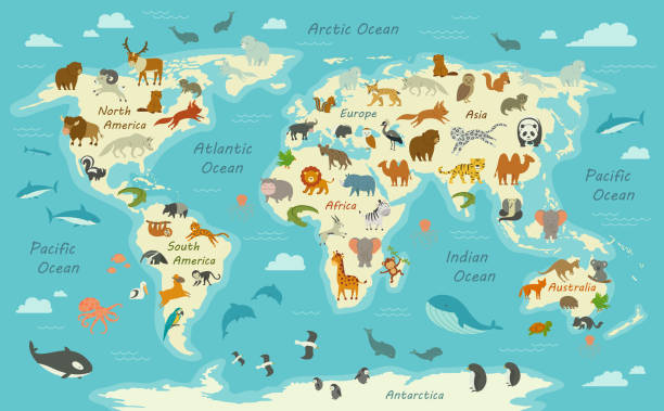 illustrations, cliparts, dessins animés et icônes de carte du monde avec des animaux - sea lion