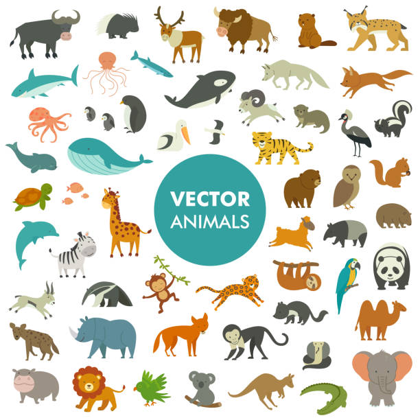 illustrazioni stock, clip art, cartoni animati e icone di tendenza di illustrazione vettoriale di semplici icone animali dei cartoni animati. - animale illustrazioni