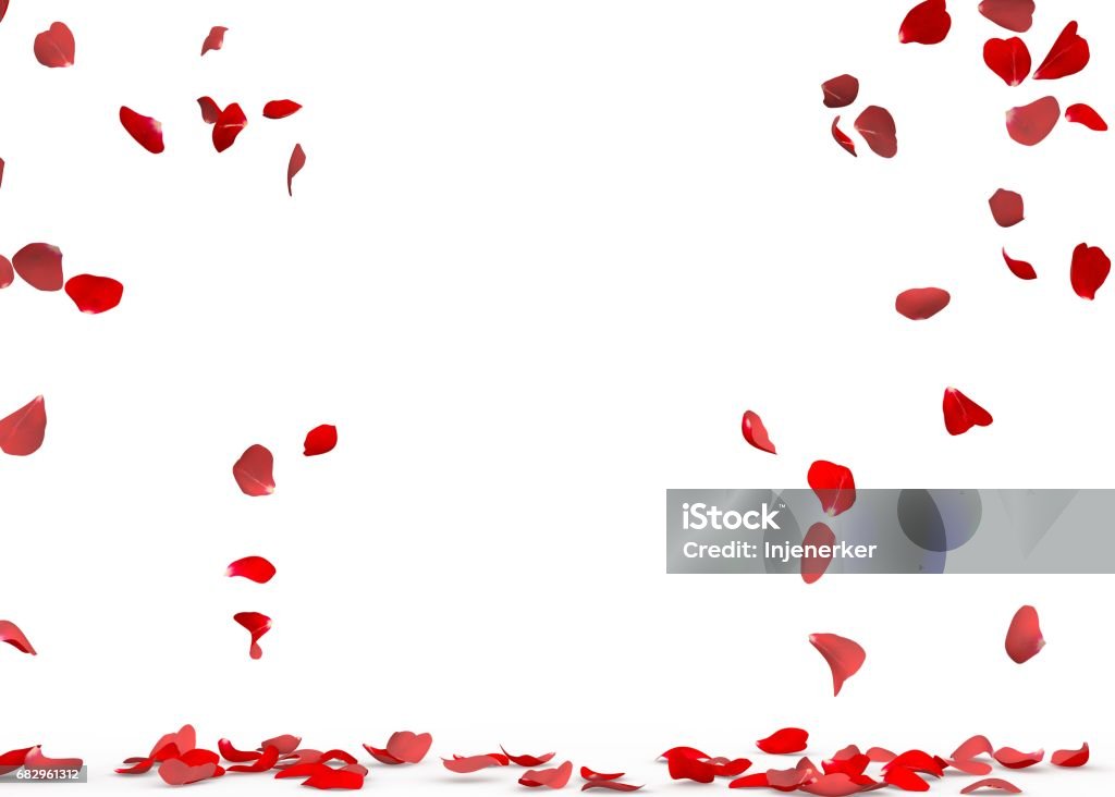 Ruusun terälehtiä putoaa lattialle - Rojaltivapaa avainsanalla Ei ihmisiä ja tyyppiä Kuvapankin valokuva