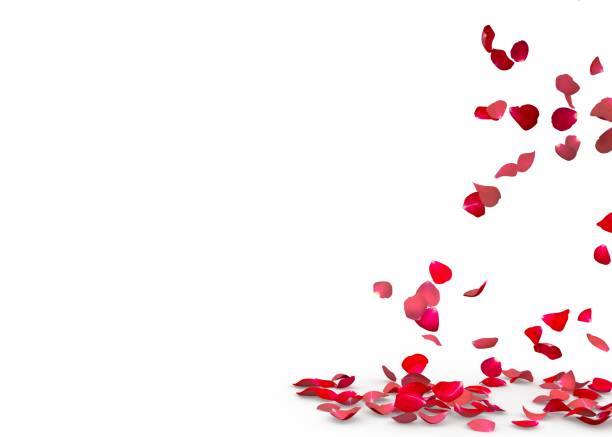 istock Rose petals fall to the floor 682971924