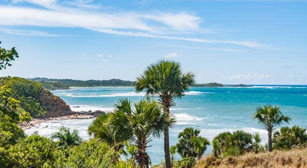 istock Dominican Republic beach 682972150