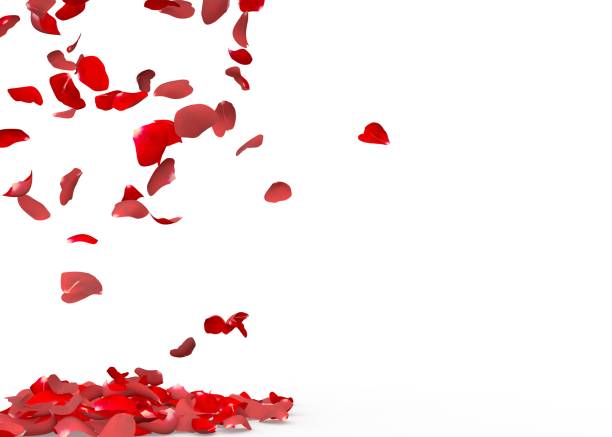 istock Rose petals fall to the floor 682978908