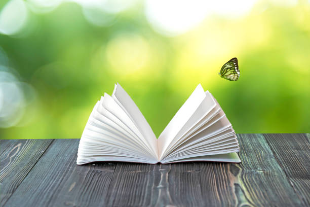 istock Open book on wood planks over abstract light background 682979216