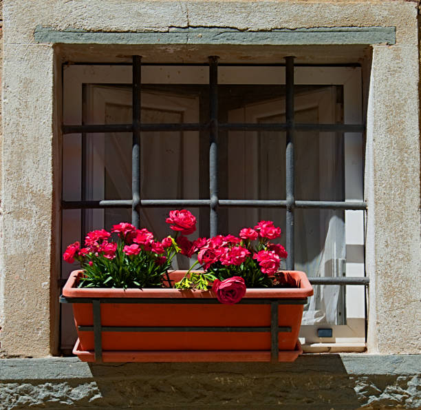 Window A nice Window in Tuscany country cortona stock pictures, royalty-free photos & images