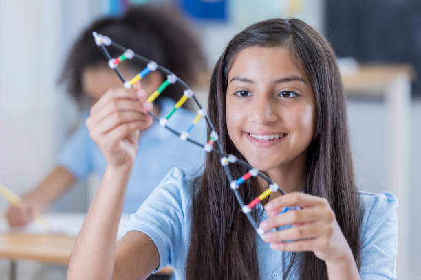 confiant junior lycéenne examine le modèle helix dna - dna science child education photos et images de collection