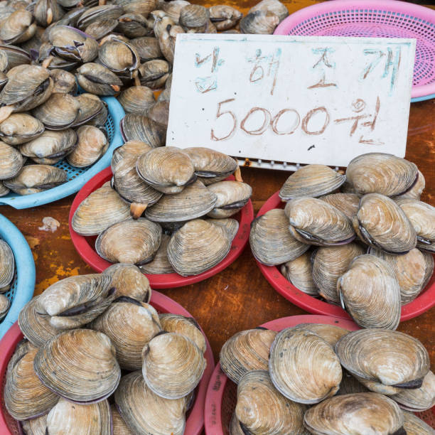 istock Seafood at fish market in Pusan, Korea. 682986128
