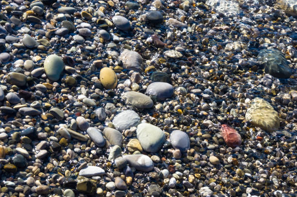 istock sea pebble beach with multicoloured stones, waves with foam 682999296