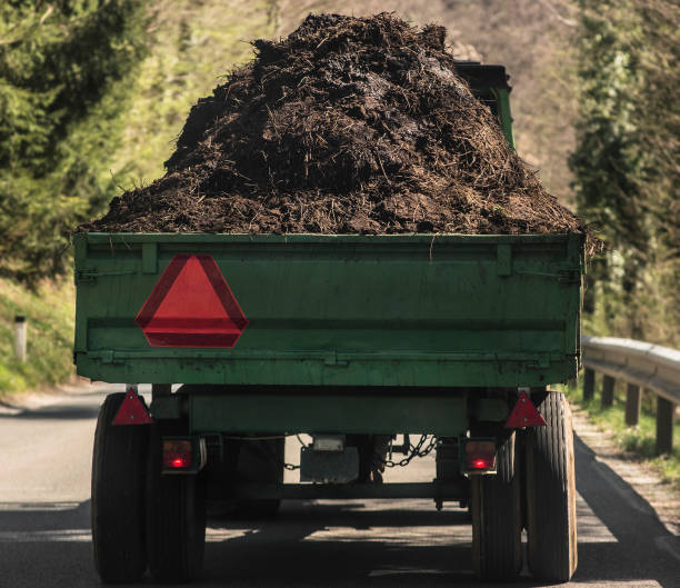 Loading Manure 290+ Manure Loader Stock Photos, Pictures & Royalty-Free Images - iStock