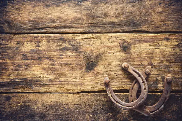 Two old rusty horseshoes on vintage wooden board