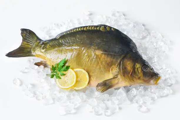 Fresh carp with lemon and parsley on ice