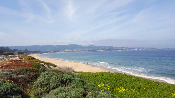 istock Local's Secret Beach Of Monterey California 683023512