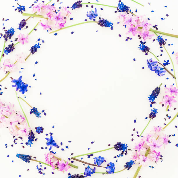 istock Round floral frame of hyacinth and blue flowers on white background. Flat lay, top view. 683024752
