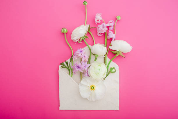 istock Beautiful white and purple flowers, buds and paper envelope on pink background. Flat lay, top view. Flowers background. 683025344