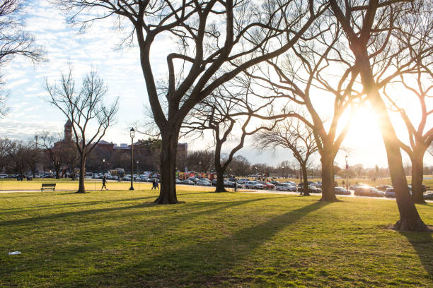 istock Shade of tree and city on the background 683028306