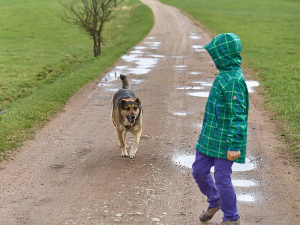 Boy and dog on the rural road in rainy day stock photo