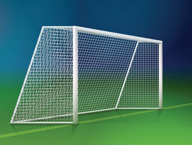 ilustrações de stock, clip art, desenhos animados e ícones de soccer goal post with net, side view - turf white green horizontal