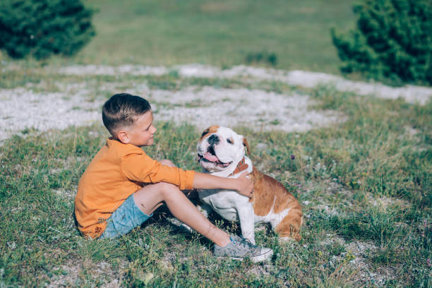 istock Boy running on the field with the bull dog in mountains 683034262
