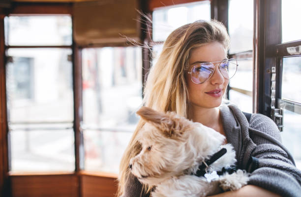 istock Hipster woman traveling with her dog by tram 683034286