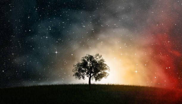 3D illustration of a tree of life in front of a nightly sky, cosmos, full of stars.