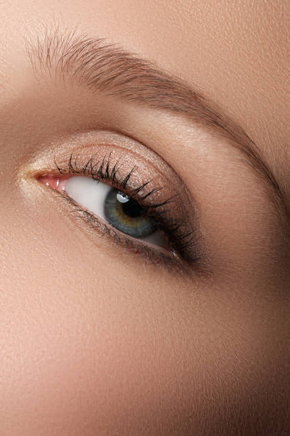 istock Eye makeup. Beautiful eyes make-up. Holiday makeup detail 683035400