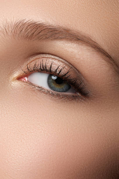 istock Eye makeup. Beautiful eyes make-up. Holiday makeup detail 683035404
