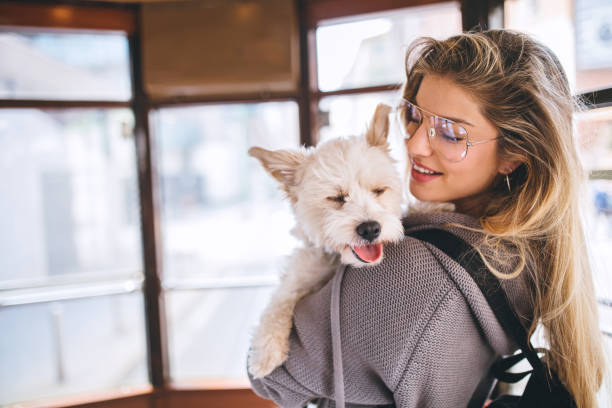istock Woman and her dog in tram 683038530