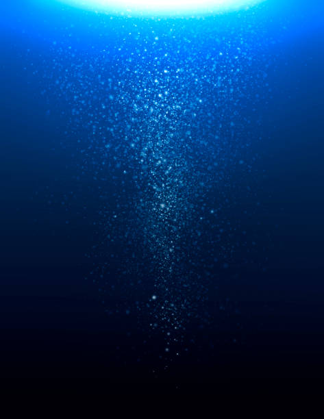 Sea plankton illustration digital illustration glowing plankton stock illustrations