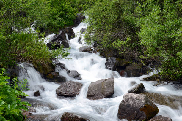 istock Waterfall cascade and stream in a high elevation forest in Rocky Mountains, a source of clean pure water for hikers and backpackers, though needs filtration before drinking 683041216