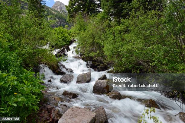 Waterfall Cascade And Stream In A High Elevation Forest In Rocky Mountains A Source Of Clean Pure Water For Hikers And Backpackers Though Needs Filtration Before Drinking Stock Photo - Download Image Now