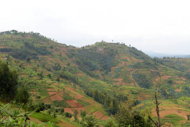 istock Countryside in the area of Kibeho - Rwanda 683044982