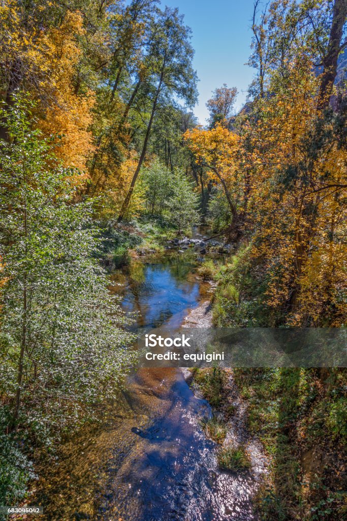 Mountain Stream in Fall - Royalty-free Ao Ar Livre Foto de stock