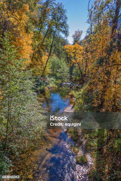 Mountain Stream In Fall - Fotografias de stock e mais imagens de Ao Ar Livre - Ao Ar Livre, Arizona, Beleza natural