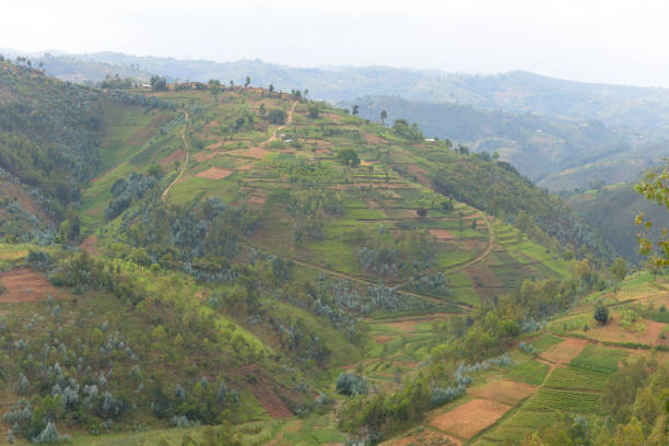 istock Countryside in the area of Kibeho - Rwanda 683045052