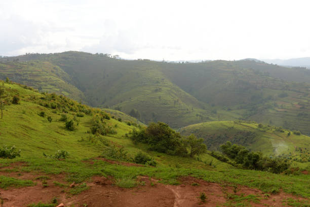 Countryside in the area of Kibeho - Rwanda