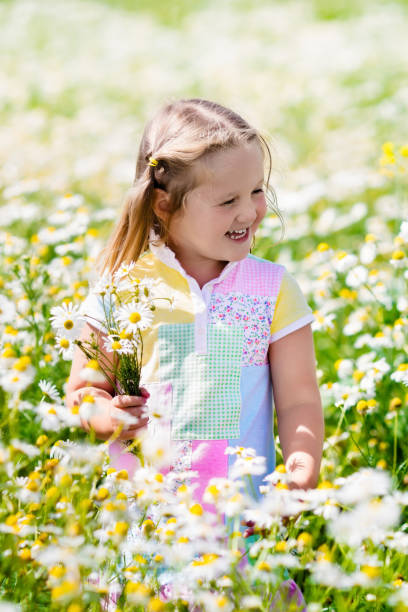 istock Little girl picking flowers in daisy field 683047246