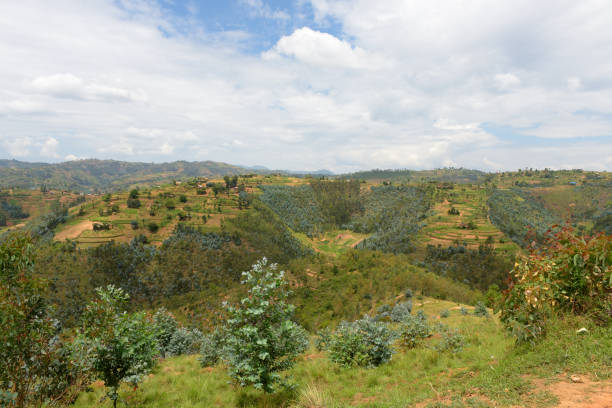 istock Countryside between Kibeho and Butare (Huye) - Rwanda 683047690