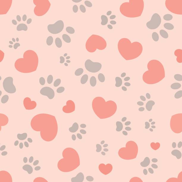 ilustrações de stock, clip art, desenhos animados e ícones de heart and animal paw seamless pattern. - cat paw print