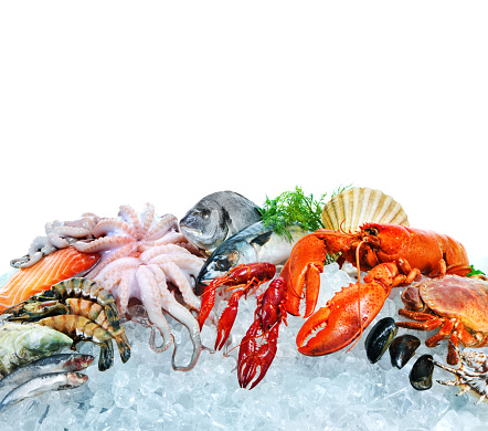 Fresh fish and seafood arrangement on crushed ice