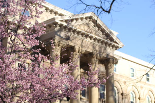 Pillared Building with Cherry Blossoms A pillared building with cherry blossoms in the foreground. university of north carolina photos stock pictures, royalty-free photos & images