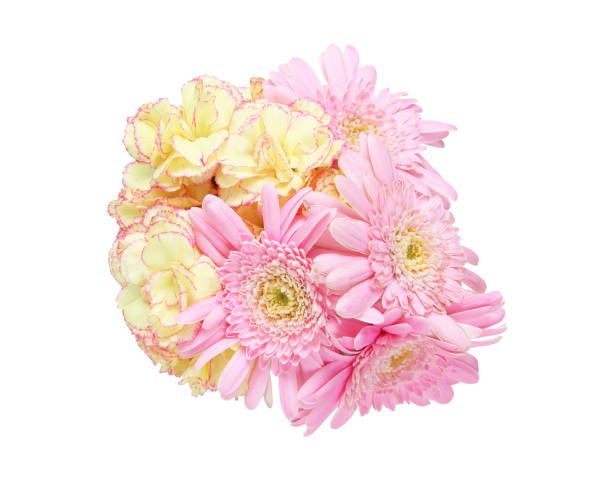 istock Bouquet of carnation and transvaal daisy 683067758