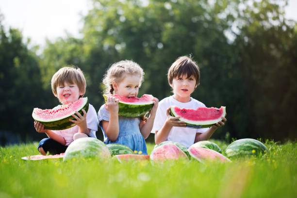 istock Group of happy kids eating watermelons outdoor. 683077128