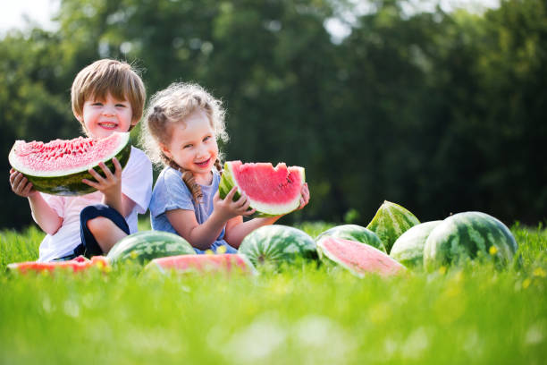 istock Funny kids eating watermelon outdoor. 683077680