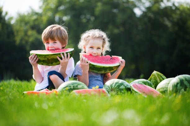 istock Funny kids eating watermelon outdoor. 683078058