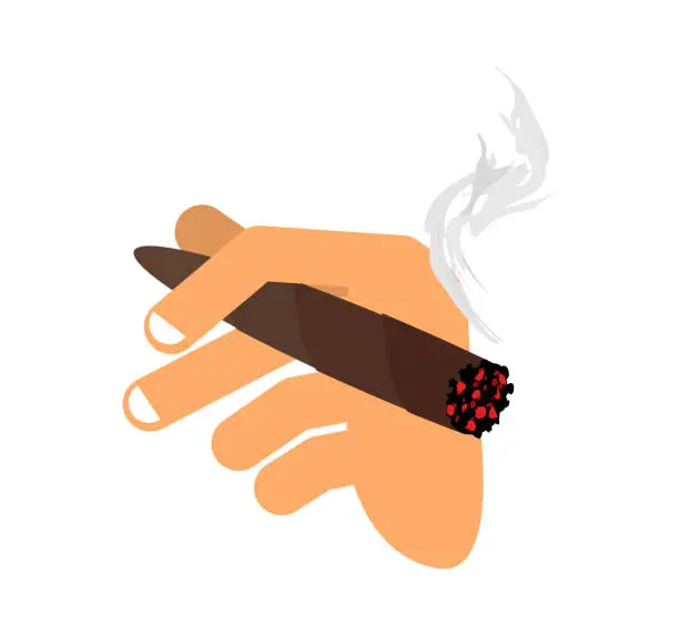 Vector illustration of Hand with cigar isolated. Men Hand holding smoke cigarette. Fing