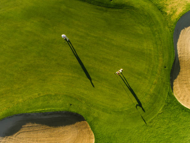 istock Professional golfers playing on putting green 683081372