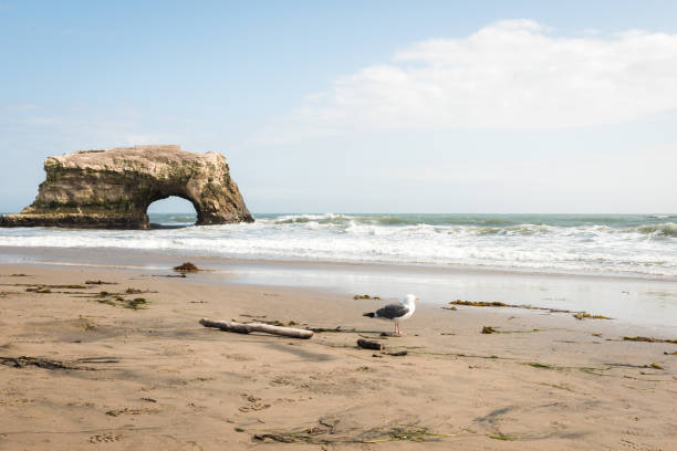 istock Natural Bridges seascape 683090984